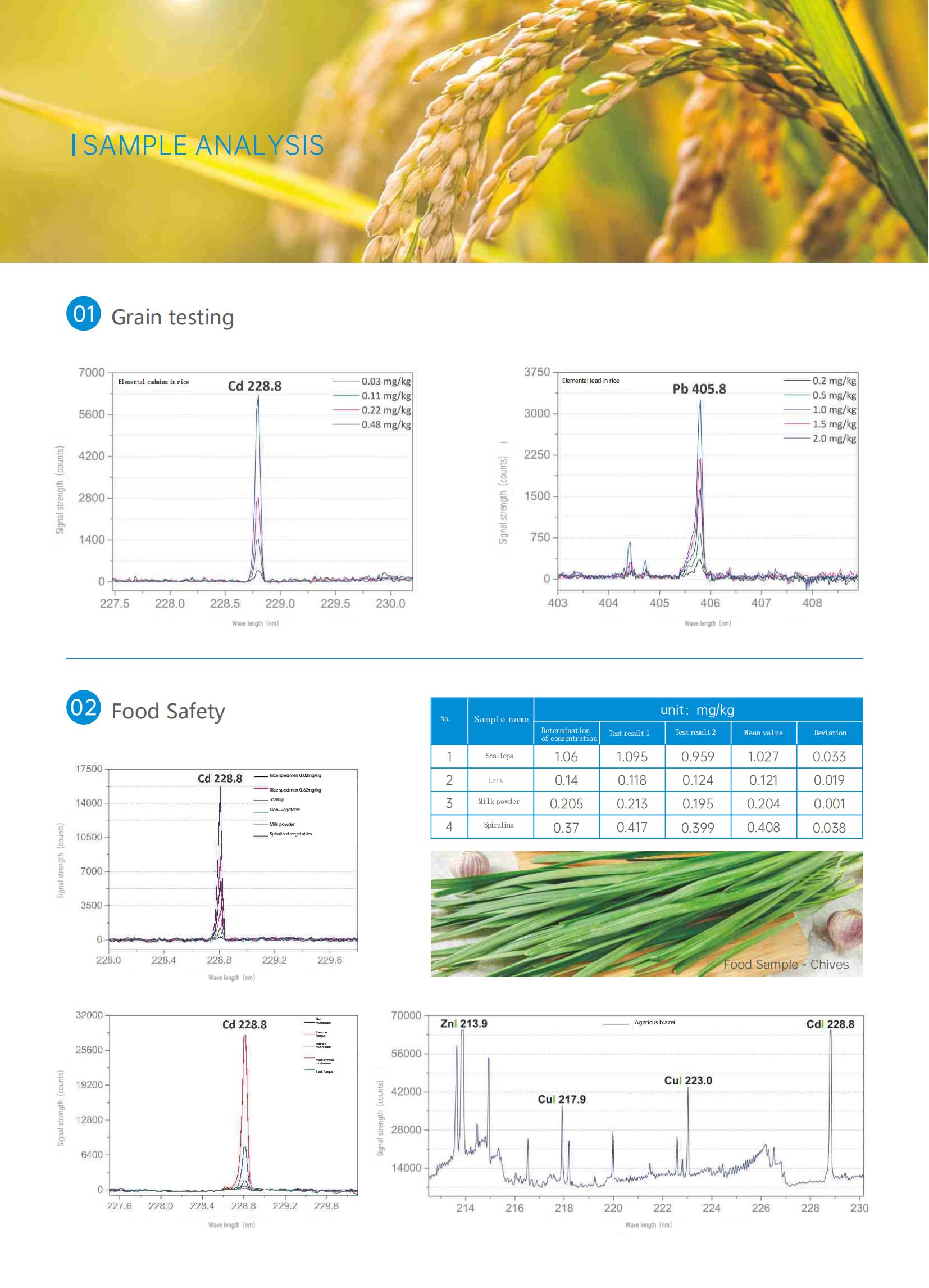 Product brochure-【PJ-10】Plasma jet element specrtometer_04.jpg